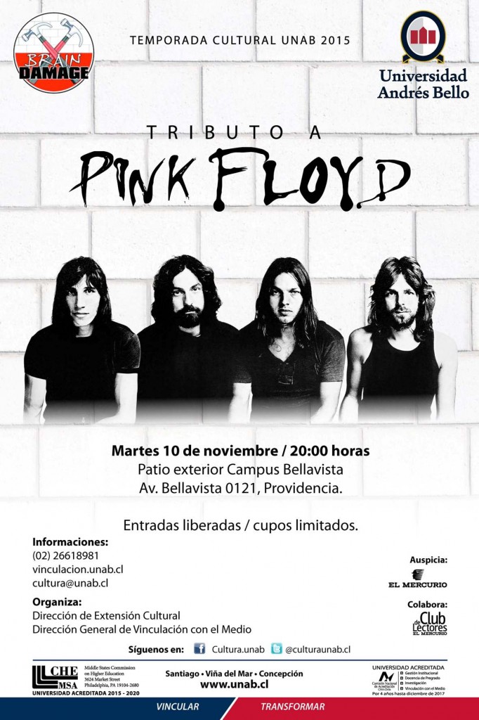 AFICHE Brain Damage UNAB BELLAVISTA 2015 Pink Floyd Tributo